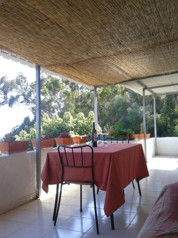 Casa Do Avo Teixeira Βίλα Σεσίμπρα Εξωτερικό φωτογραφία