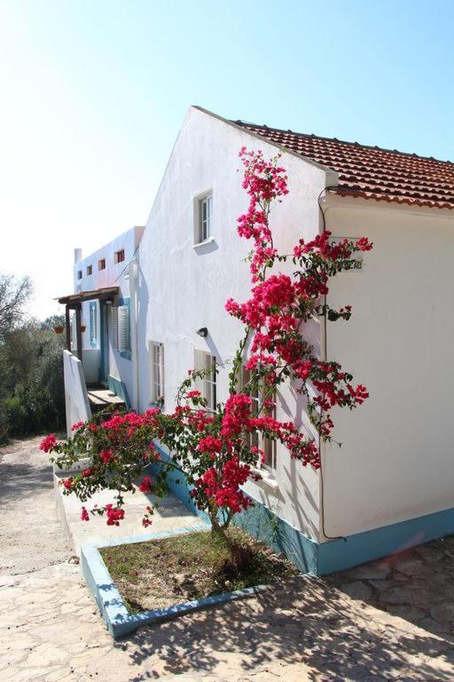 Casa Do Avo Teixeira Βίλα Σεσίμπρα Εξωτερικό φωτογραφία